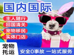 大同云冈机场快递国际宠物托运 【国